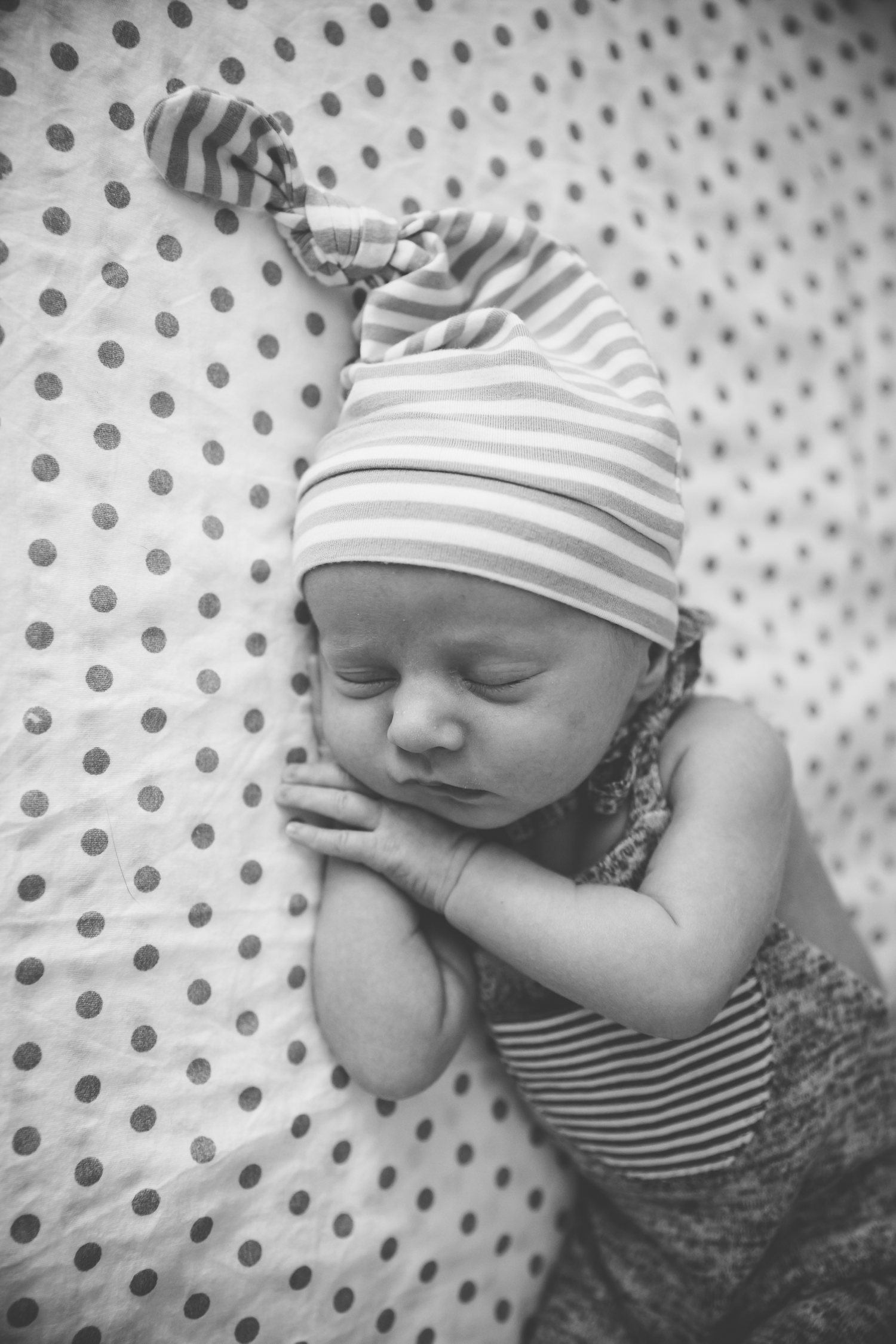 Newborn Professional Photographer Phoenix