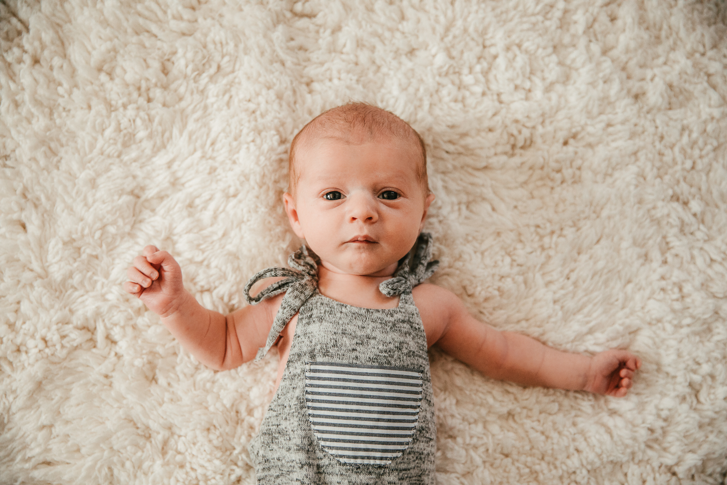 Newborn Professional Photographer Phoenix