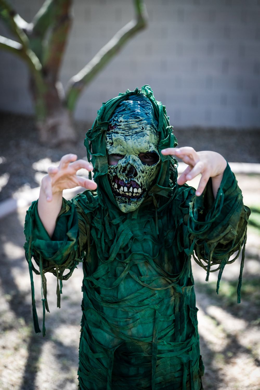Family Halloween Costume | Hollywood Movie Monsters