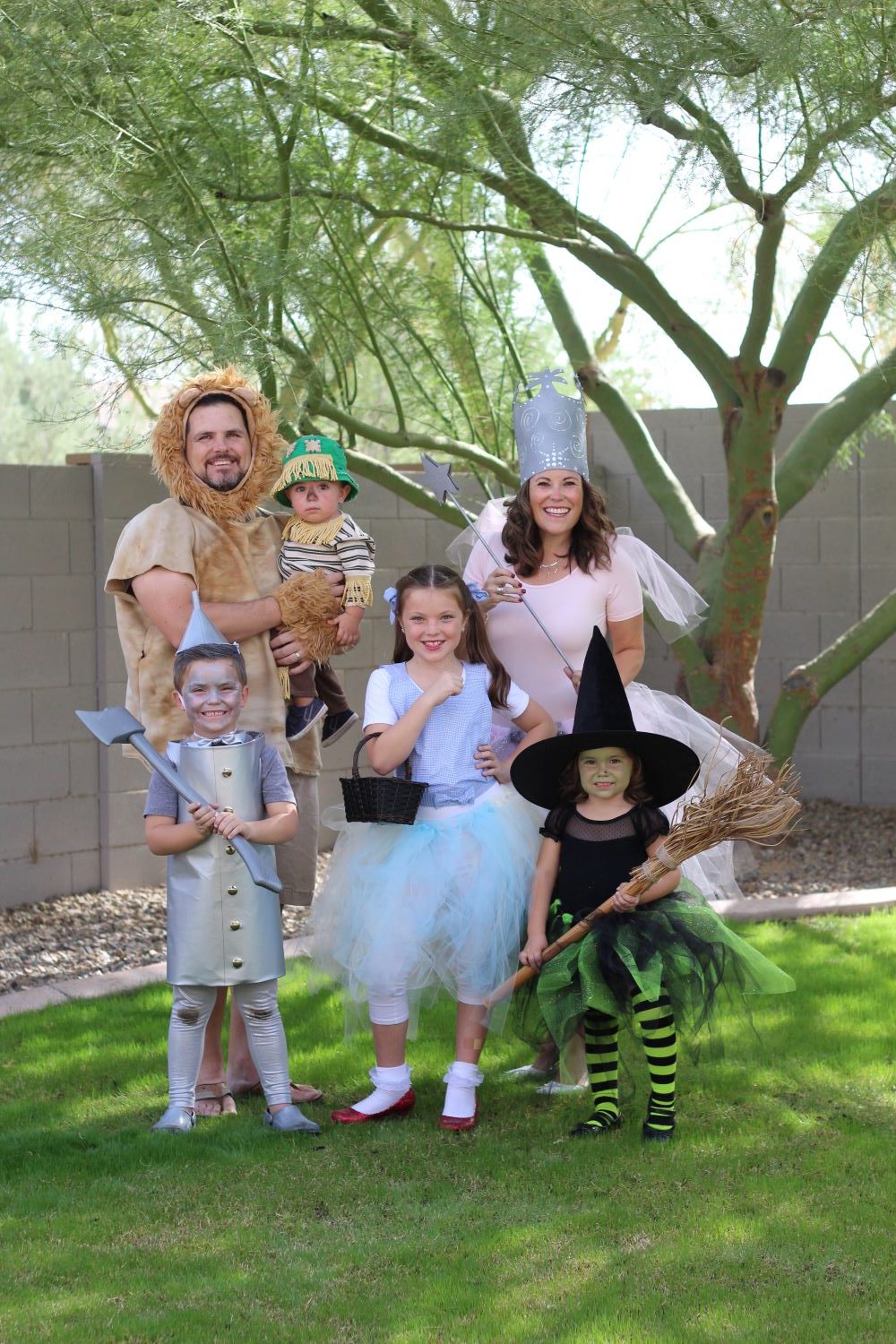 Family Halloween Costumes | Wizard of Oz