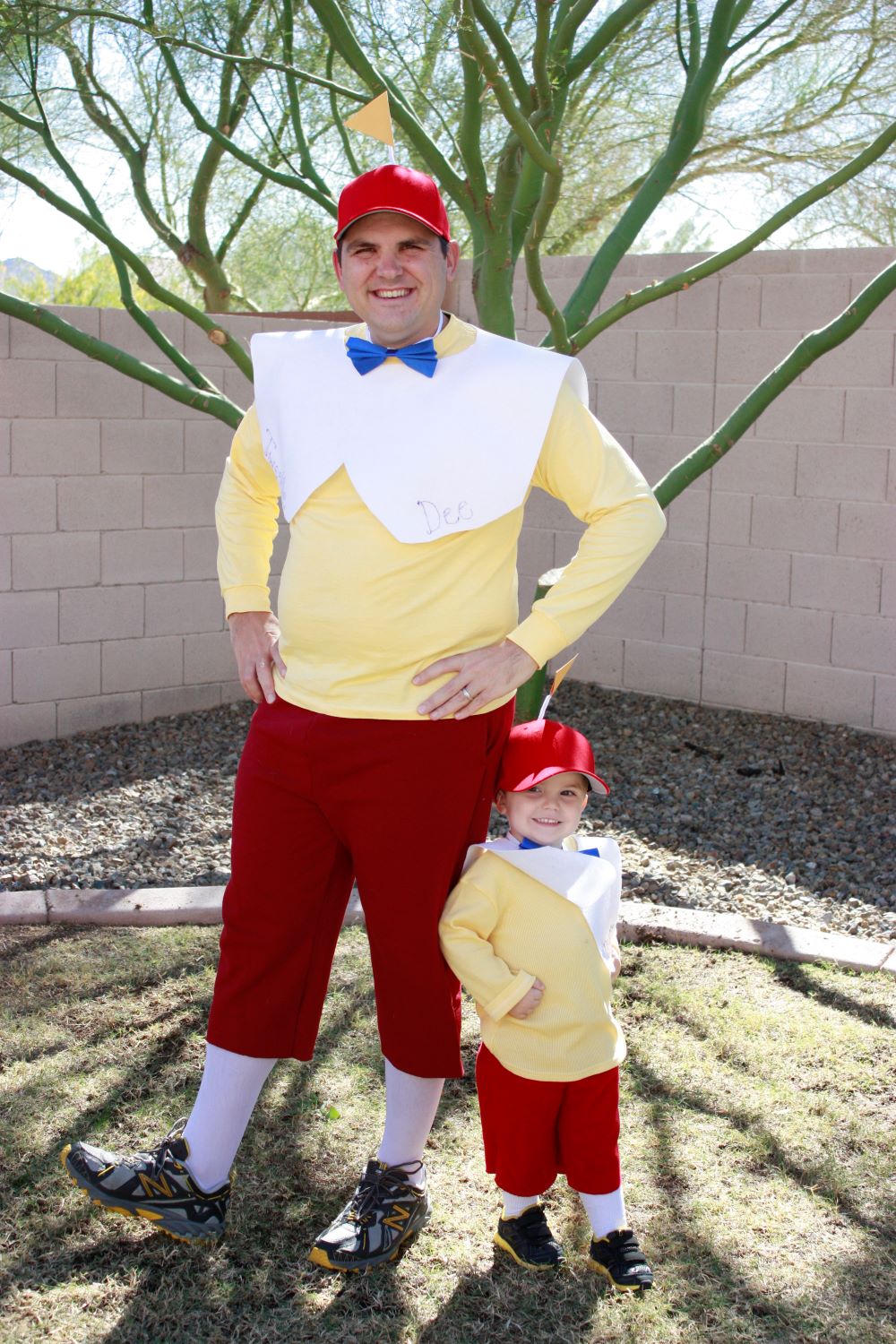 Alice in Wonderland | Family Costume Idea