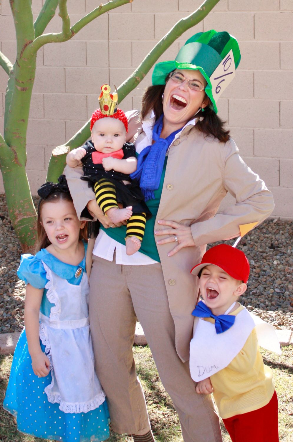 Alice in Wonderland | Family Costume Idea