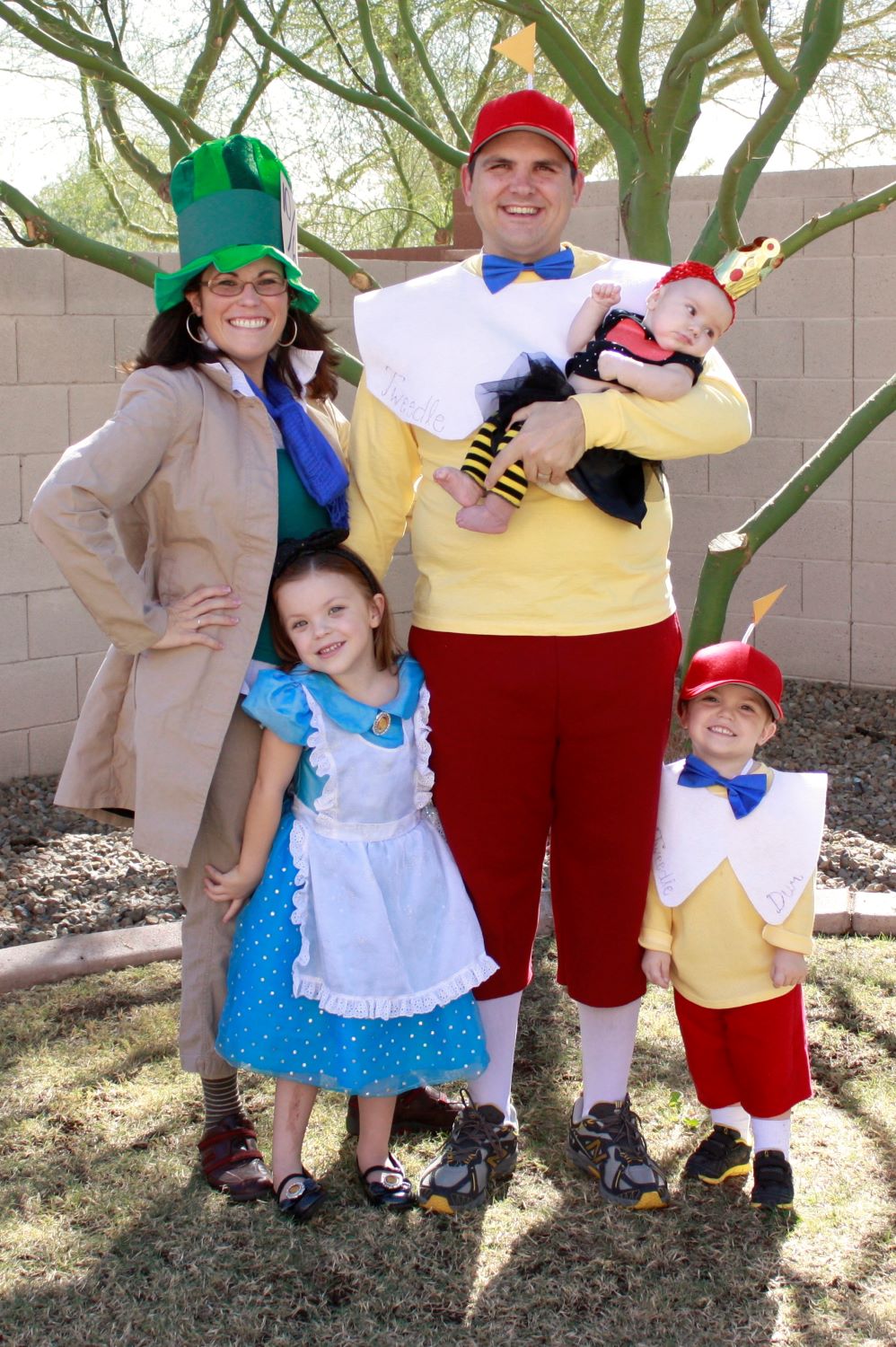 Alice in Wonderland | Family Costume Idea